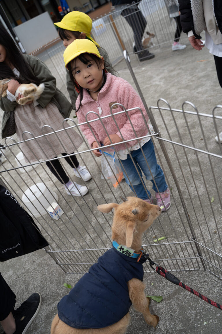 染地幼稚園の園のようす